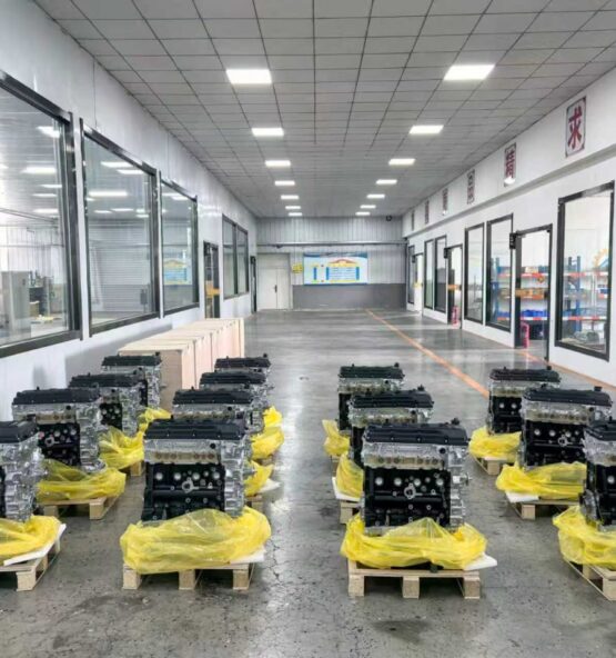 IMG 20260324 WA0047 555x592